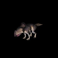 侏罗纪强势来袭 史前恐龙系列 原角龙