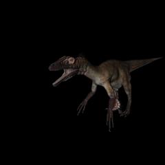 侏罗纪强势来袭 史前恐龙系列 犹他盗龙