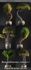 ArchiCG Plants : Bonsai4Interior Vol.1 盆栽植物模型
