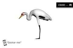 鹤 crane