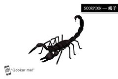 蝎子 scorpion