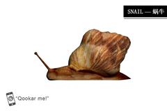 蜗牛 snail