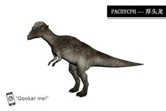 肿头龙 Pachycephalosaurus