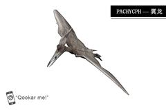 无齿翼龙 pteranodon