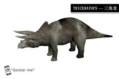 三角恐龙 triceratops