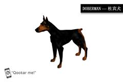 杜宾犬 doberman