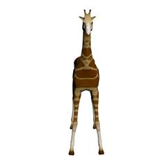 长颈鹿 giraffe