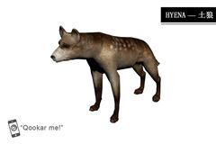 鬣狗 hyena