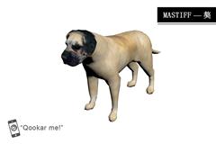 獒 mastiff