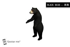 黑熊 black bear