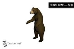 棕熊 brown bear