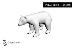 北极熊 Polar bear