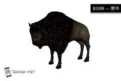 野牛 bison