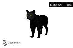 黑猫 black cat