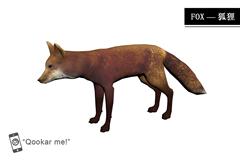 火狐 red fox