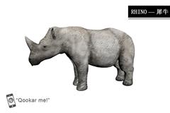 犀牛 rhino