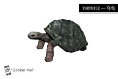 乌龟 tortoise