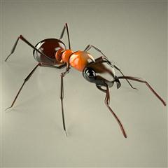 红蚁 formica rufa